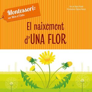 EL NAIXEMENT D'UNA FLOR (VVKIDS)